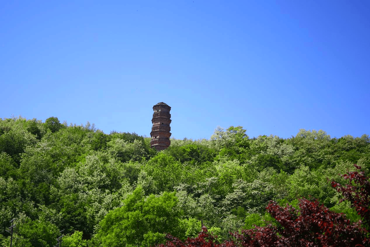 开云 开云体育官网2024中国•永寿第二十一届槐花旅游文化节开幕(图10)