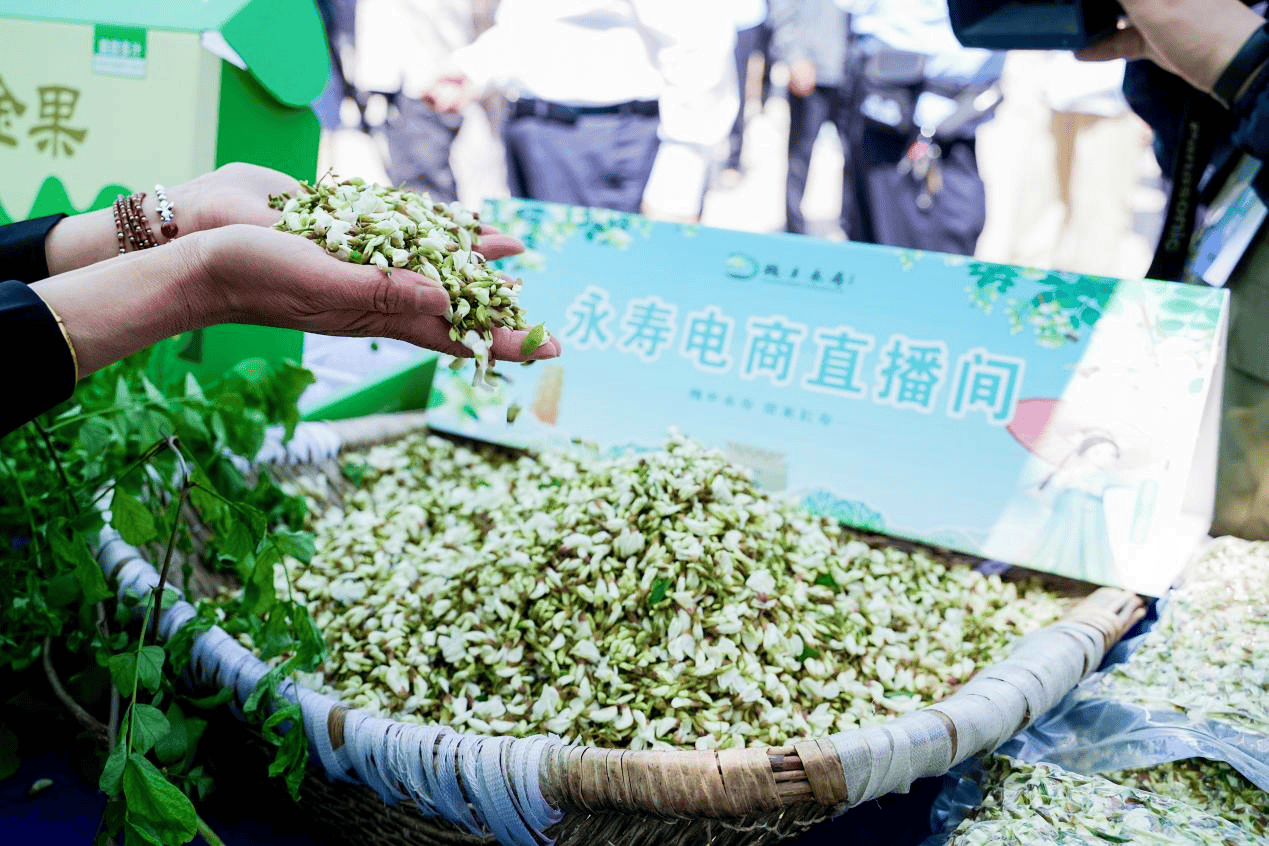 开云 开云体育官网2024中国•永寿第二十一届槐花旅游文化节开幕(图9)