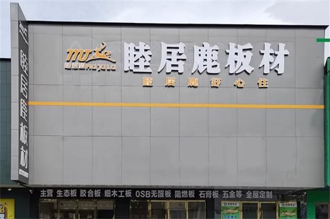见证品牌之力！第八届“中品榜”2024年度家具板十大品牌榜单出炉开云 开云体育平台(图10)