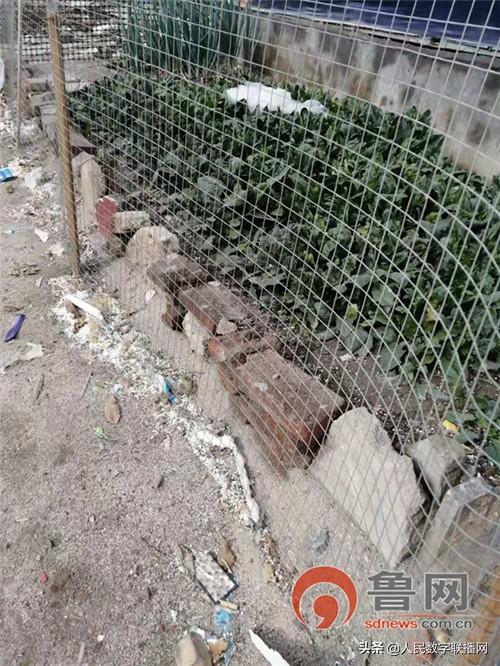 开云体育 开云平台平度：工地施工外墙保温“泡沫飘散严重”遭周边居民质疑(图4)