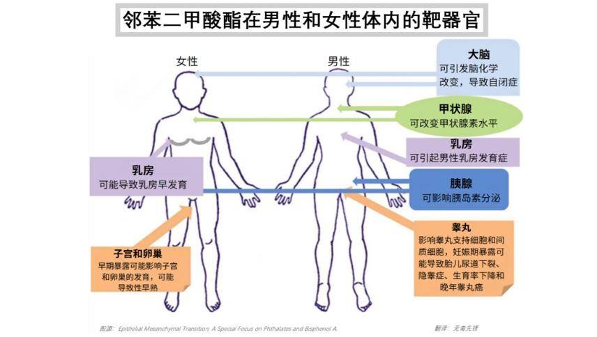 Kaiyun 开云体育82%PVC材质儿童凉鞋抽检不合格邻苯含量超标调查员：或致儿童患哮喘和过敏症(图2)