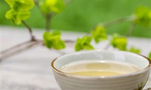 Kaiyun 开云体育2023环保材料行业发展前景分析 预计未来五年市场规模或超270亿元(图4)