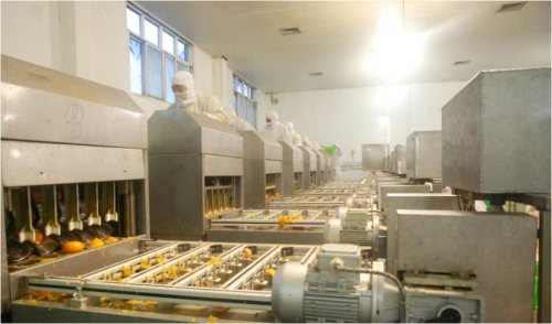 以“新”赋能“味”见未来！丰岛食品Kaiyun 开云走出绿色智造之路(图2)